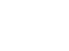 Town Brewing Co